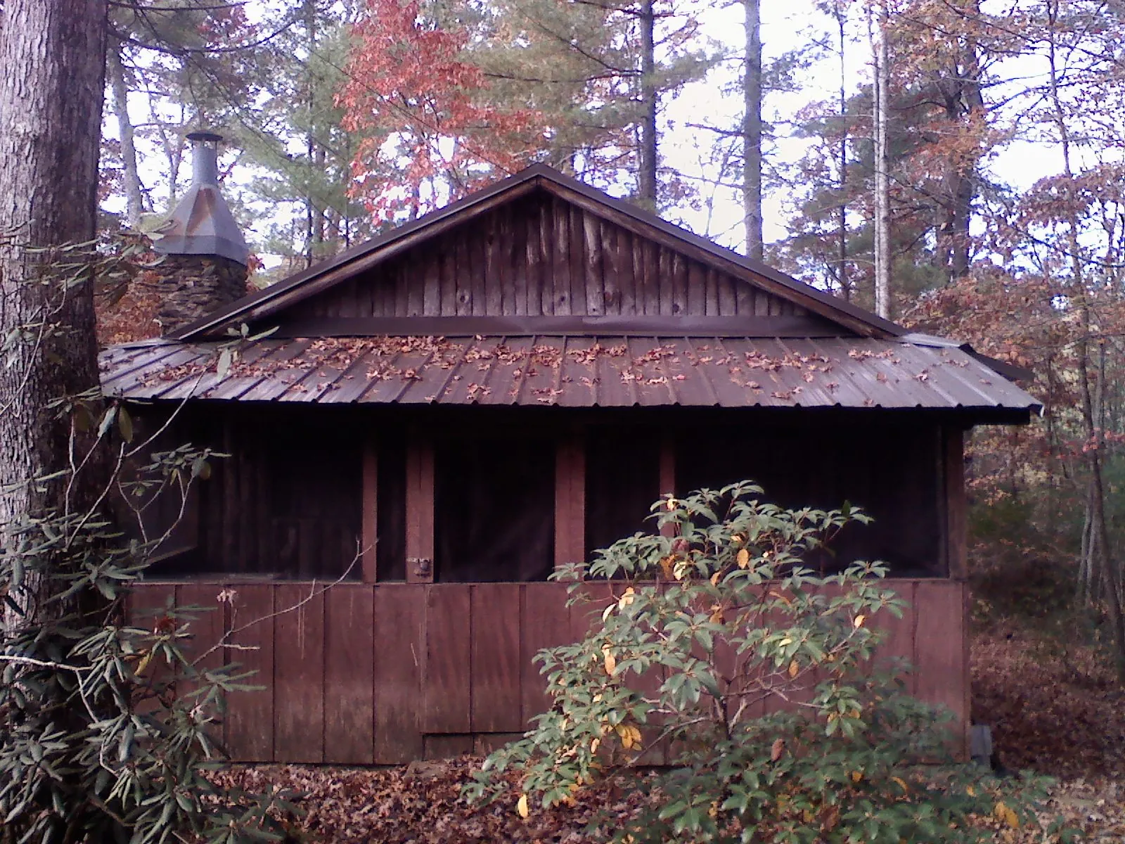 Metal roof over the screened porch of a rustic cabin in Dillwyn