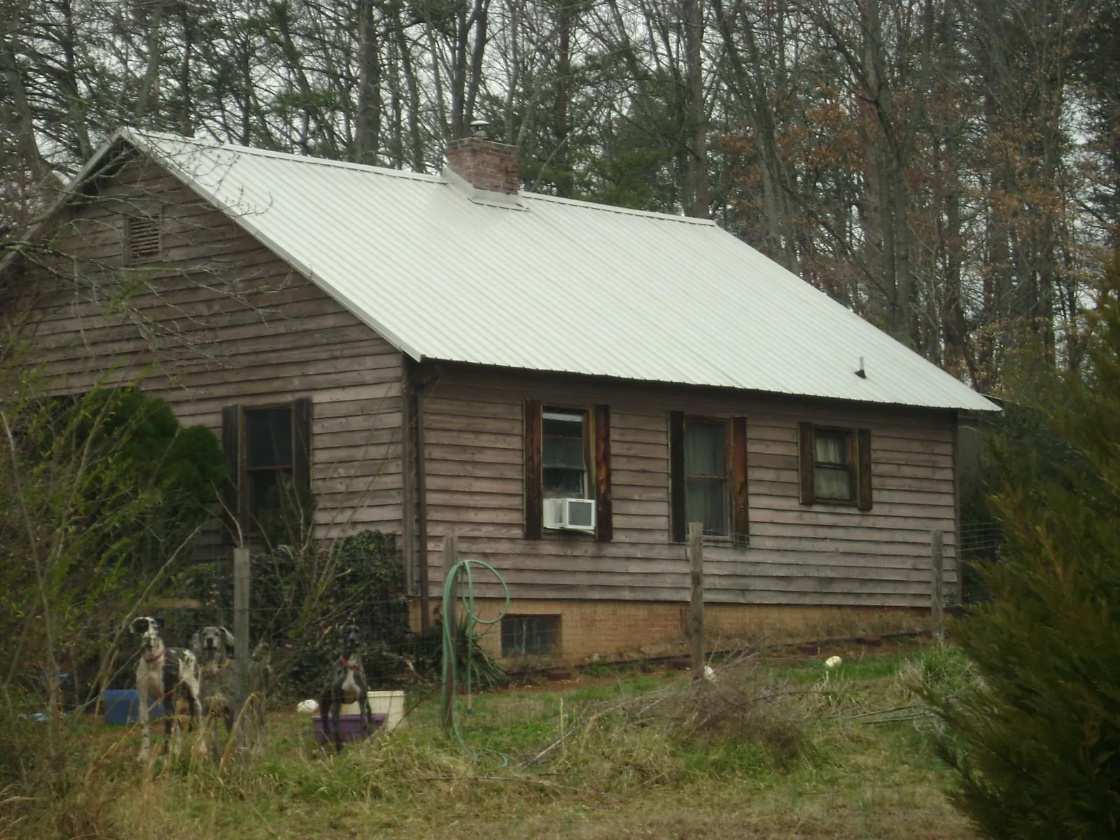 White metal roof on an old wood sided farmhouse, from a Asphalt Shingle Roof Repair job in Dillwyn